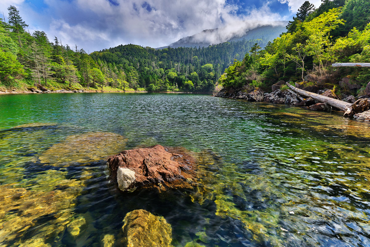 めずらしい名前一覧｜響きや漢字にこだわった名前のヒントの画像07