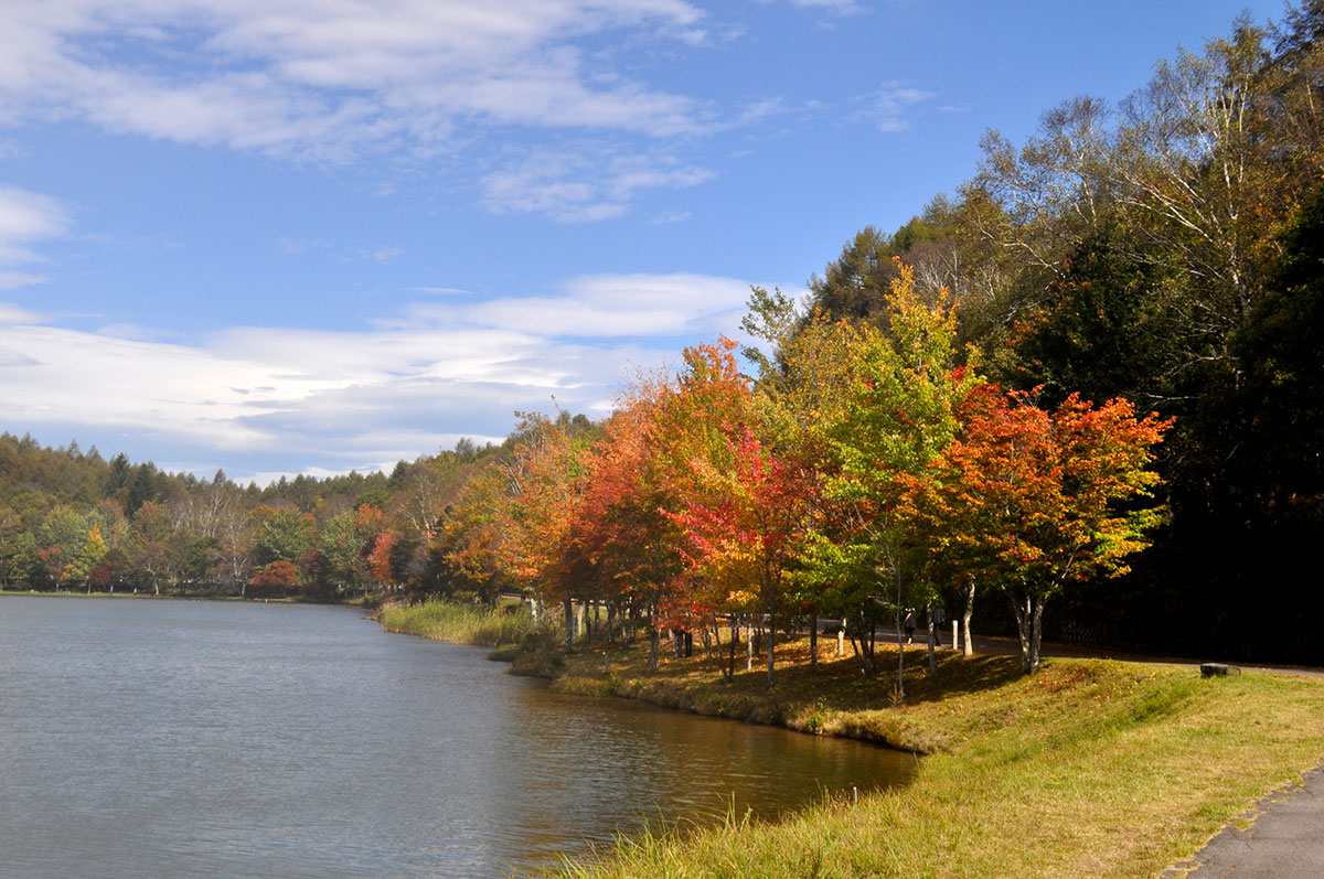 かわいい苗字295選!ふわふわ・ゆめかわ系から和風・古風な苗字までの画像10