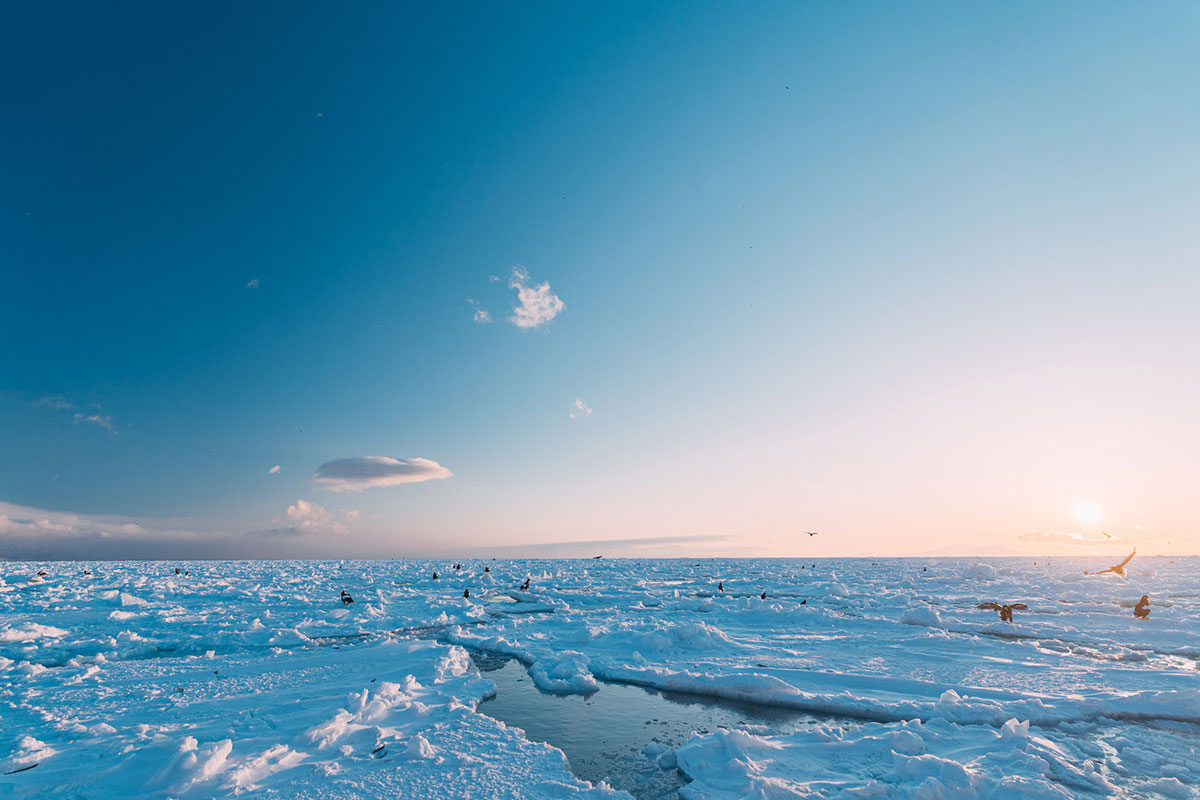 りから始まる言葉 文字数別まとめ｜しりとりやクロスワードパズルで使える食べ物やカタカナ語も紹介の画像07