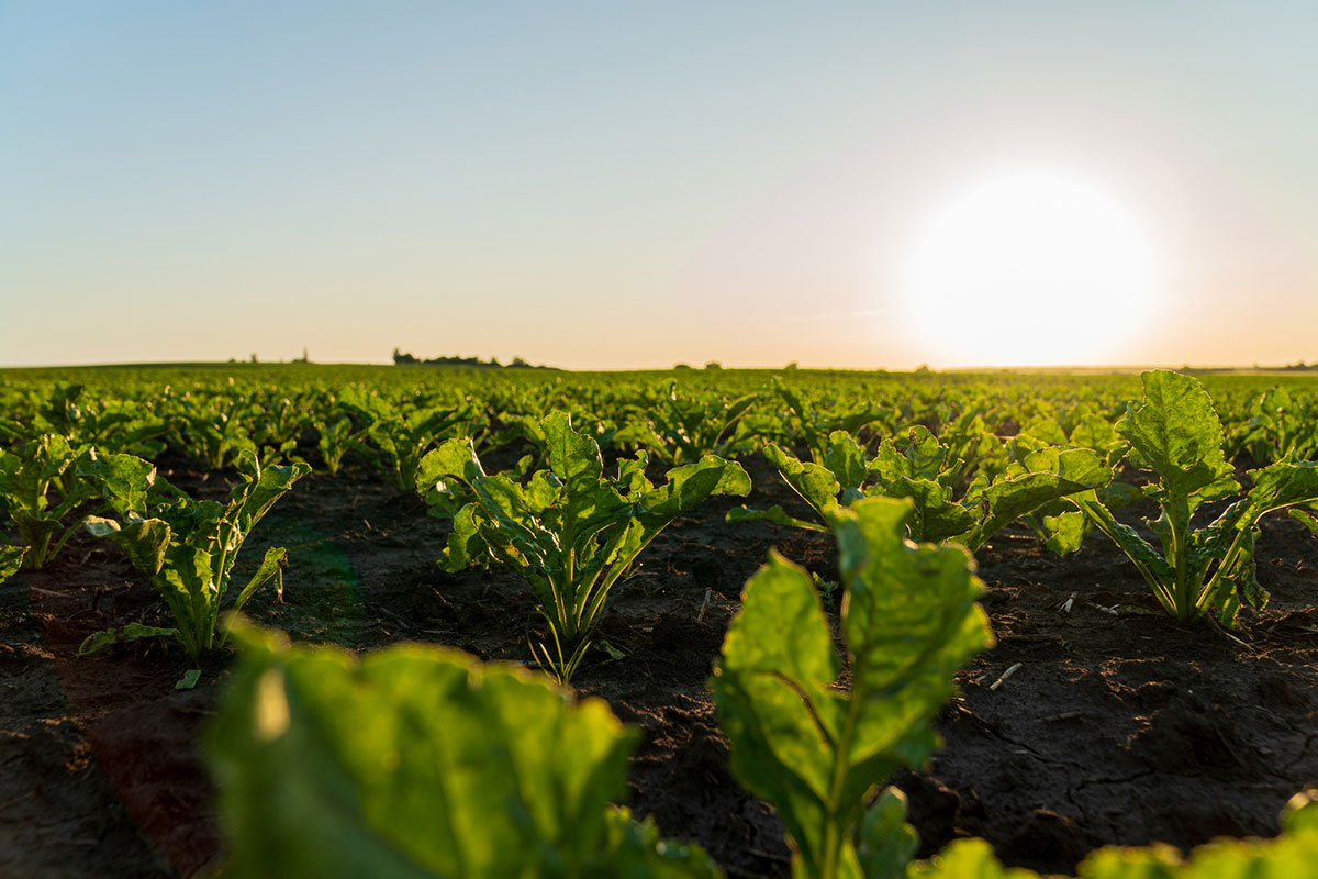 りから始まる言葉 文字数別まとめ｜しりとりやクロスワードパズルで使える食べ物やカタカナ語も紹介の画像12