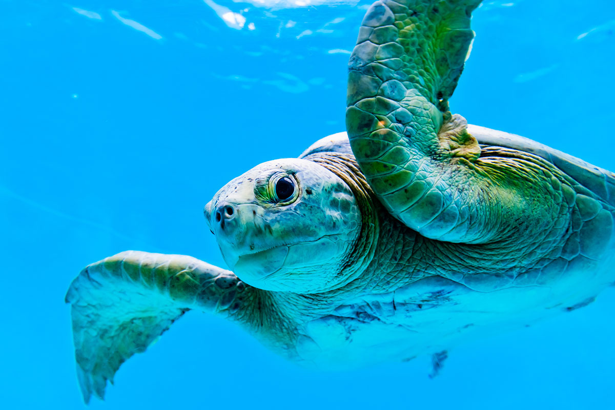 水平思考クイズ厳選20選！簡単な良問から難問、ホラー問題まで紹介の画像02