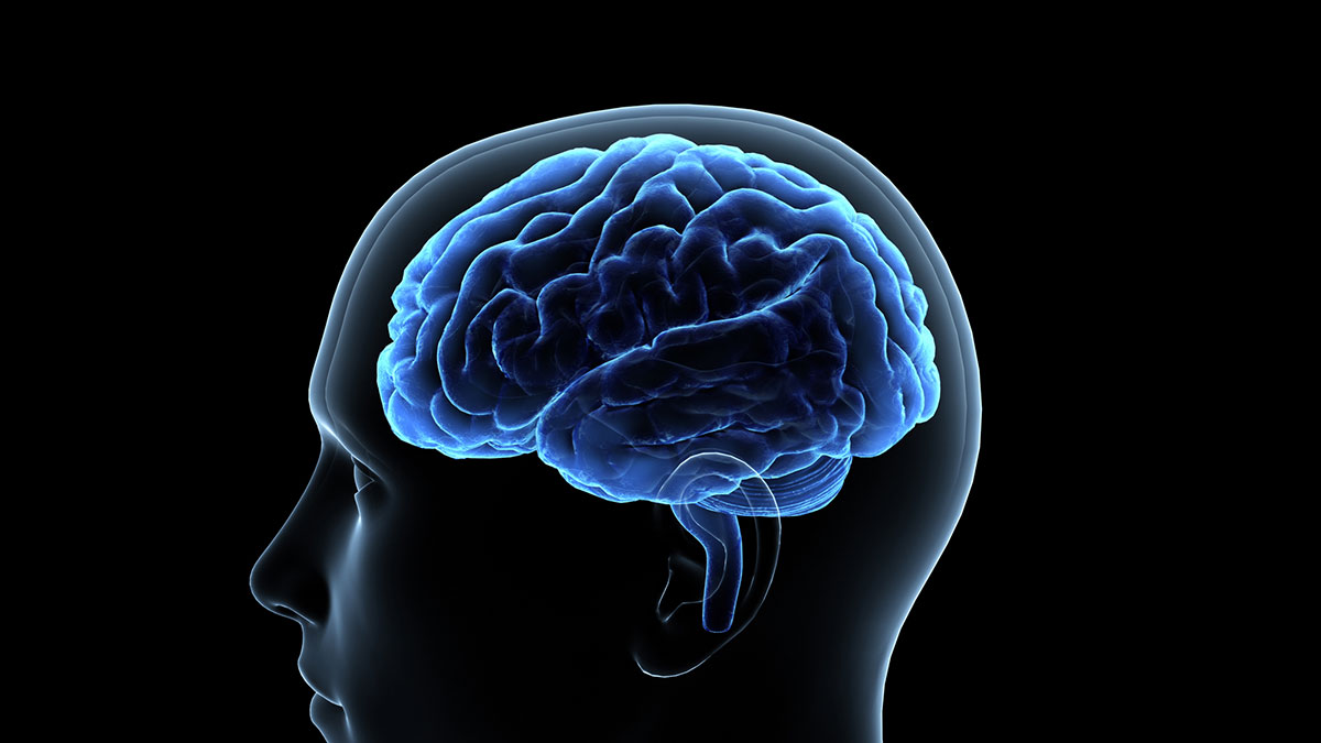 「ま」からはじまる言葉まとめ!絵しりとりやクロスワードで使える言葉を一挙紹介!の画像11