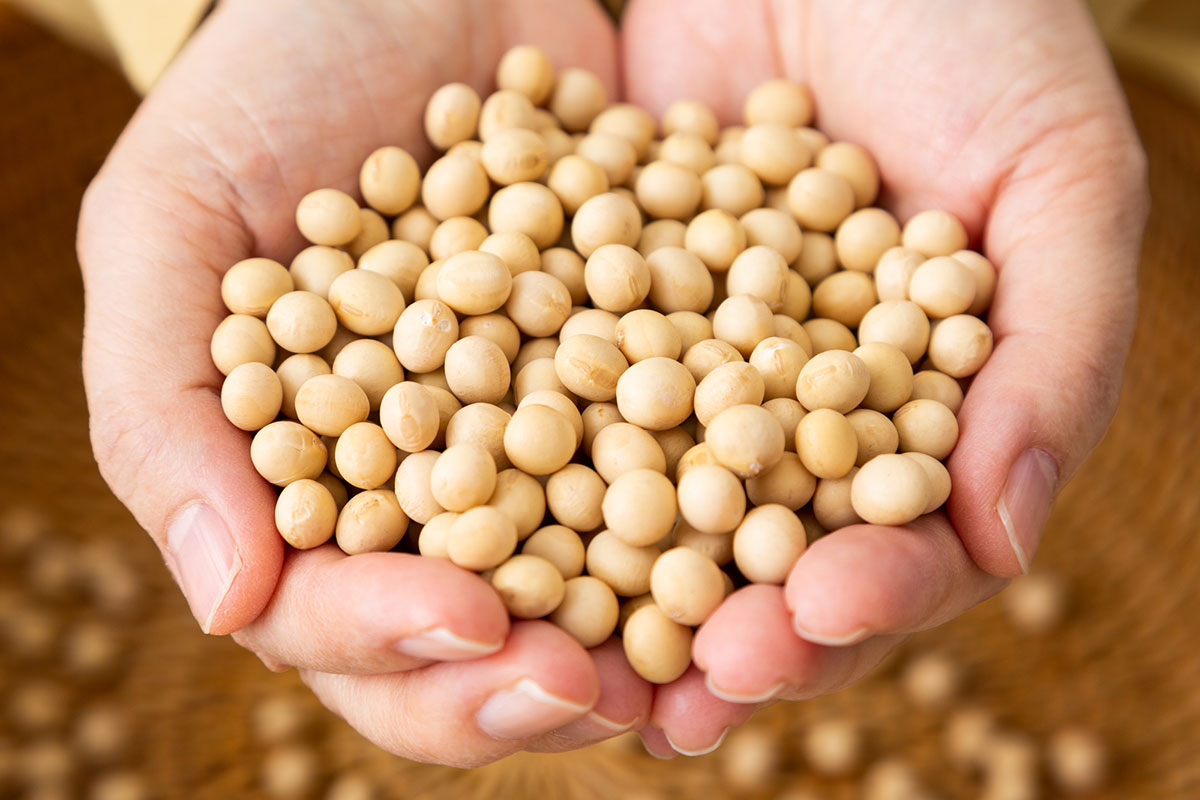 「ま」からはじまる言葉まとめ!絵しりとりやクロスワードで使える言葉を一挙紹介!の画像13