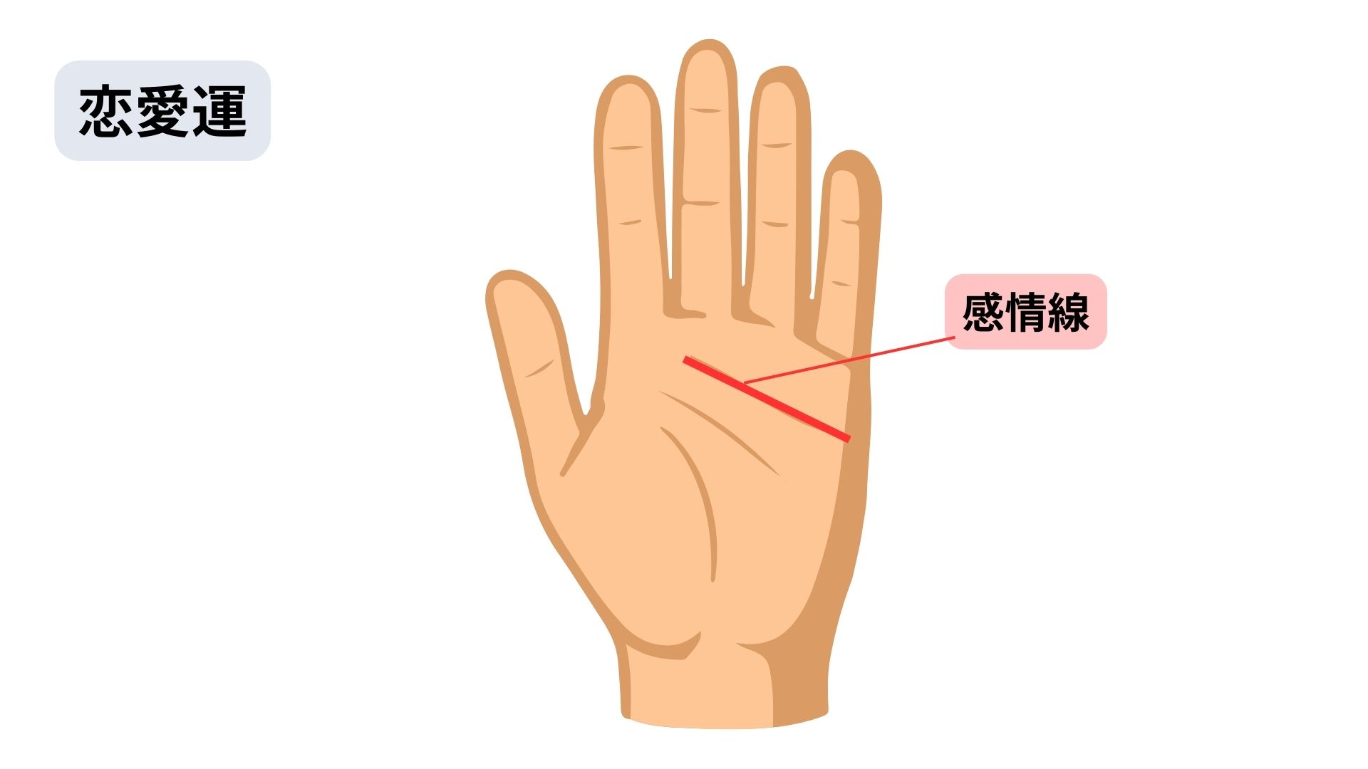 あったらやばい手相を左手でチェック!要注意・ラッキーな手相を紹介の画像05