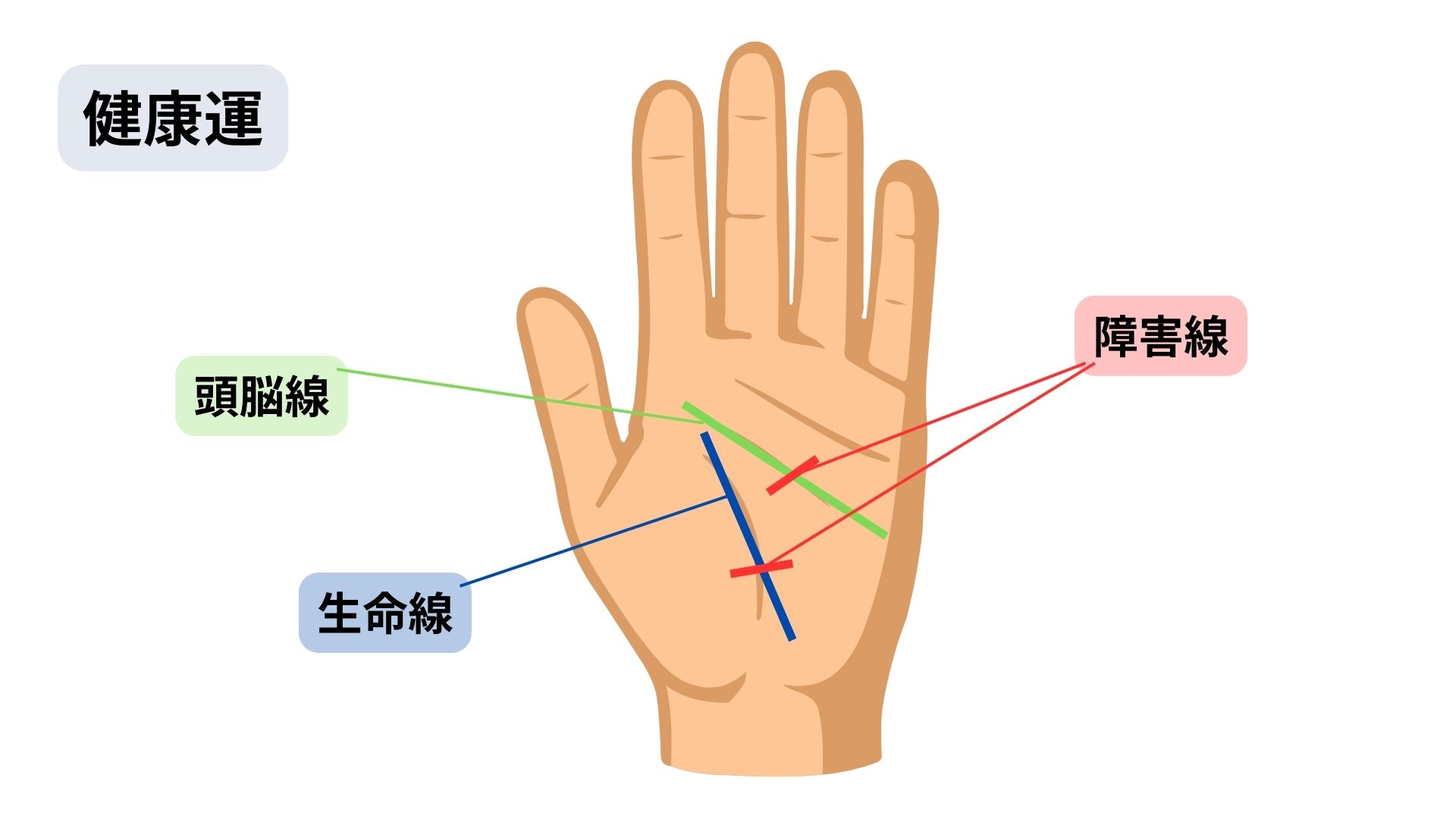 あったらやばい手相を左手でチェック!要注意・ラッキーな手相を紹介の画像07