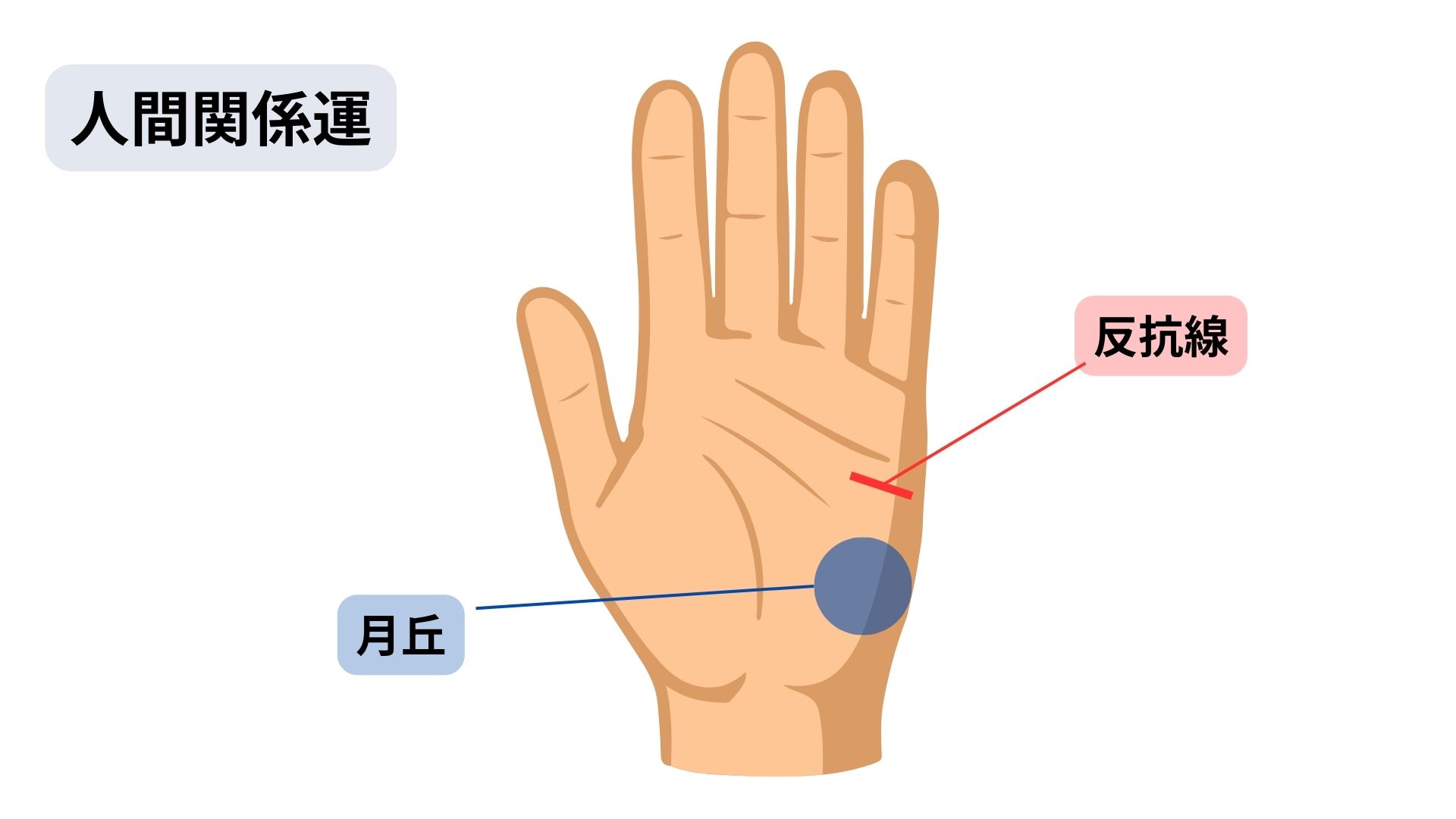 あったらやばい手相を左手でチェック!要注意・ラッキーな手相を紹介の画像08