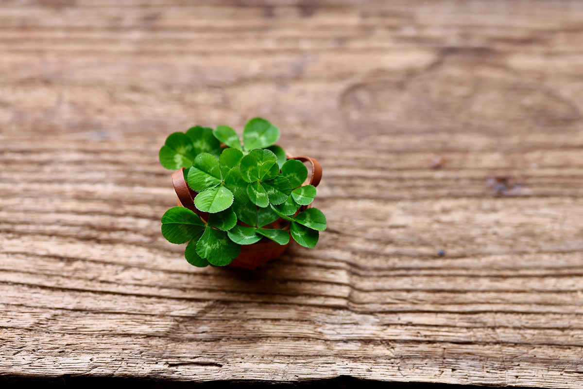 あったらやばい手相を左手でチェック!要注意・ラッキーな手相を紹介の画像09