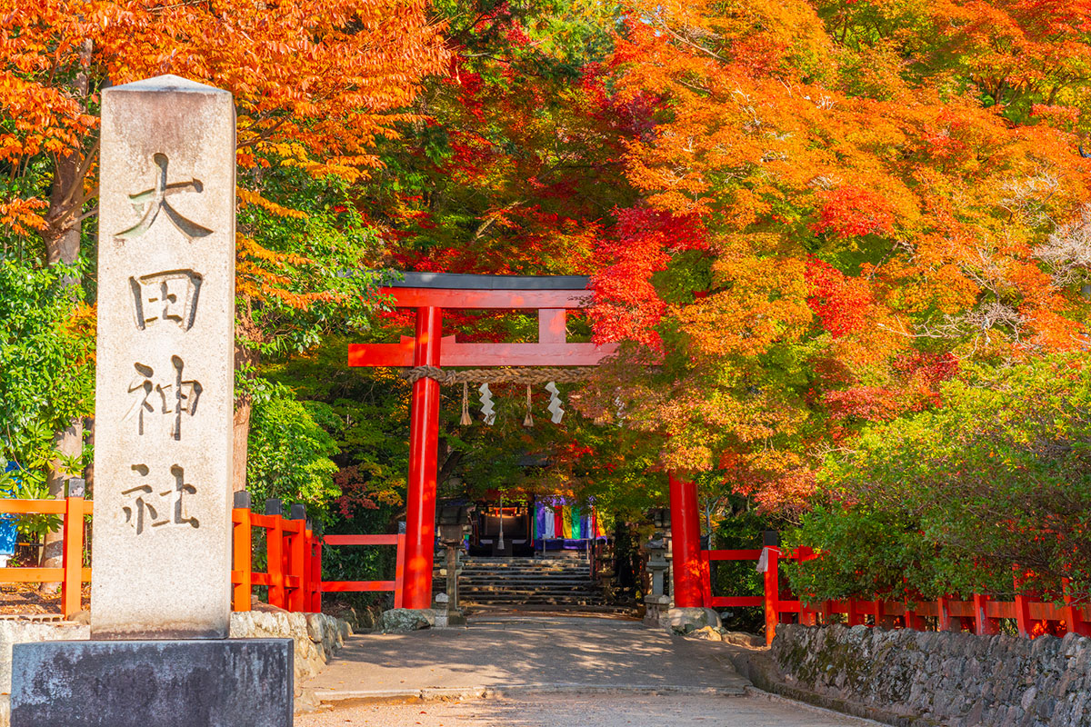 お寺と神社の違いとは？子どもでもわかる見分け方や参拝方法を解説の画像09