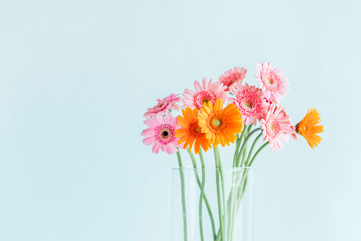 感謝の花言葉を持つ花24選!シーン別におすすめの花の組み合わせも紹介の画像05