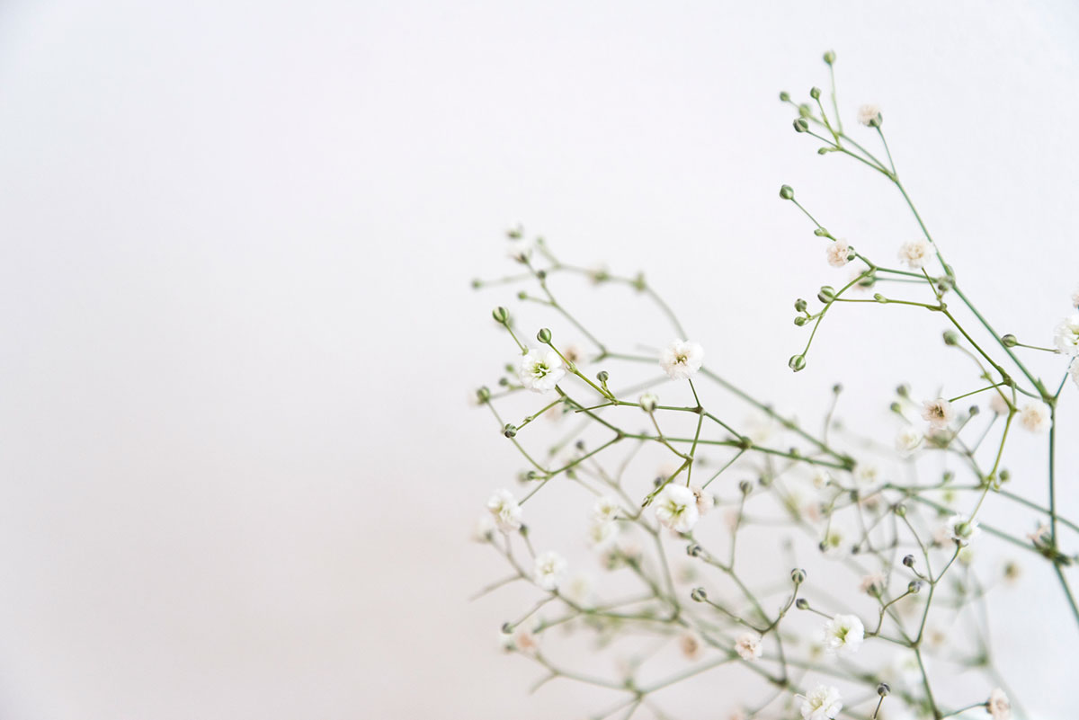 感謝の花言葉を持つ花24選!シーン別におすすめの花の組み合わせも紹介の画像08