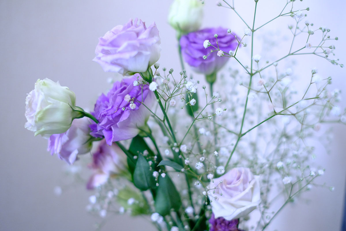 感謝の花言葉を持つ花24選!シーン別におすすめの花の組み合わせも紹介の画像13