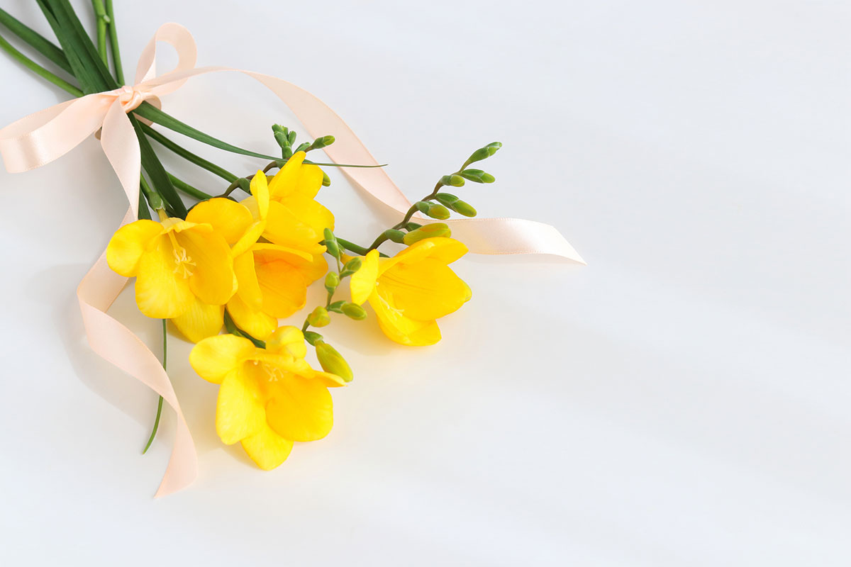 感謝の花言葉を持つ花24選!シーン別におすすめの花の組み合わせも紹介の画像15