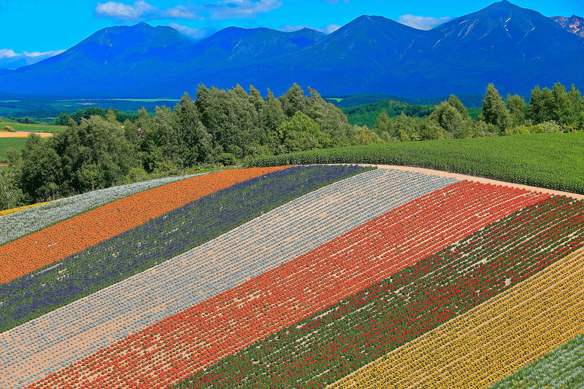 北海道の方言まとめ|挨拶や語尾、かわいいフレーズまで例文つきで解説の画像07